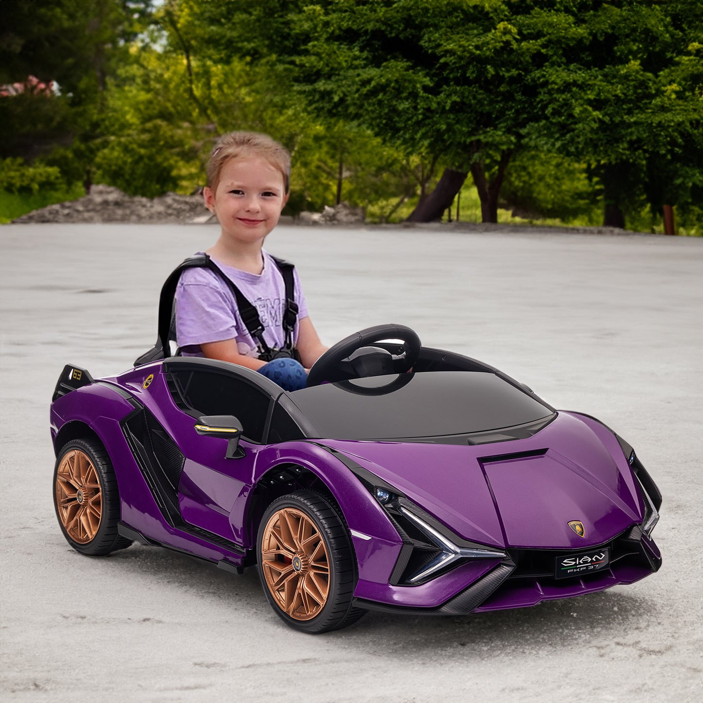 Lamborghini SIAN FKP 37 12V Ride on Car with Scissor Doors and Remote Control, Licensed