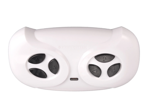 2.4Ghz Parental Remote Controller